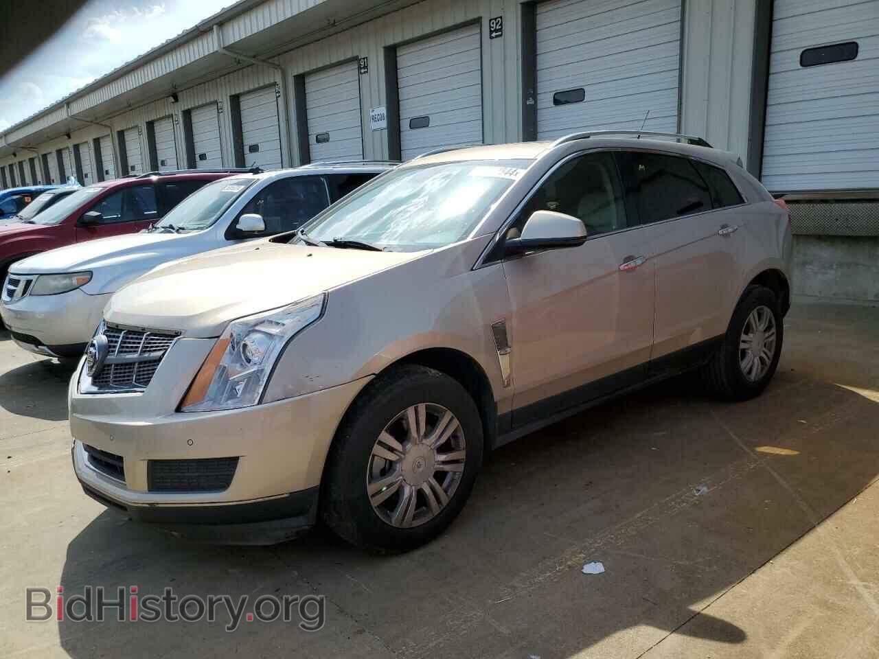 Photo 3GYFNAEY1AS554796 - CADILLAC SRX 2010