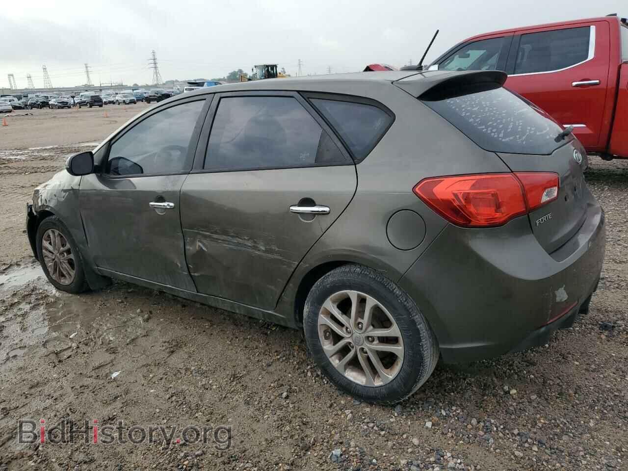 2011 KIA FORTE - VIN: KNAFU5A29B5319864 - Фото 2