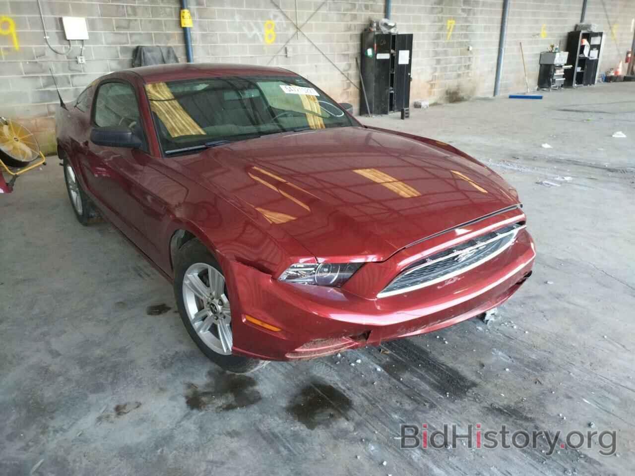 Photo 1ZVBP8AM2E5223622 - FORD MUSTANG 2014