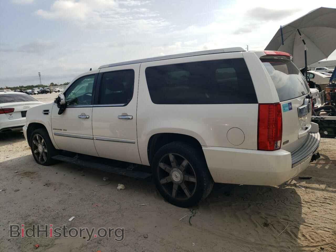 2011 CADILLAC ESCALADE - VIN: 1GYS3JEF8BR391622 - Фото 2