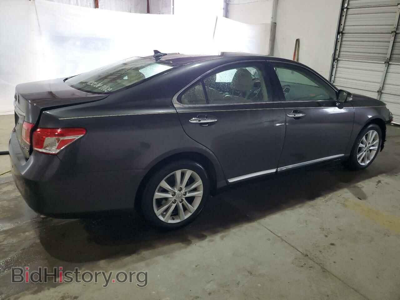 2010 LEXUS ES350 - VIN: JTHBK1EG9A2384864 - Фото 3