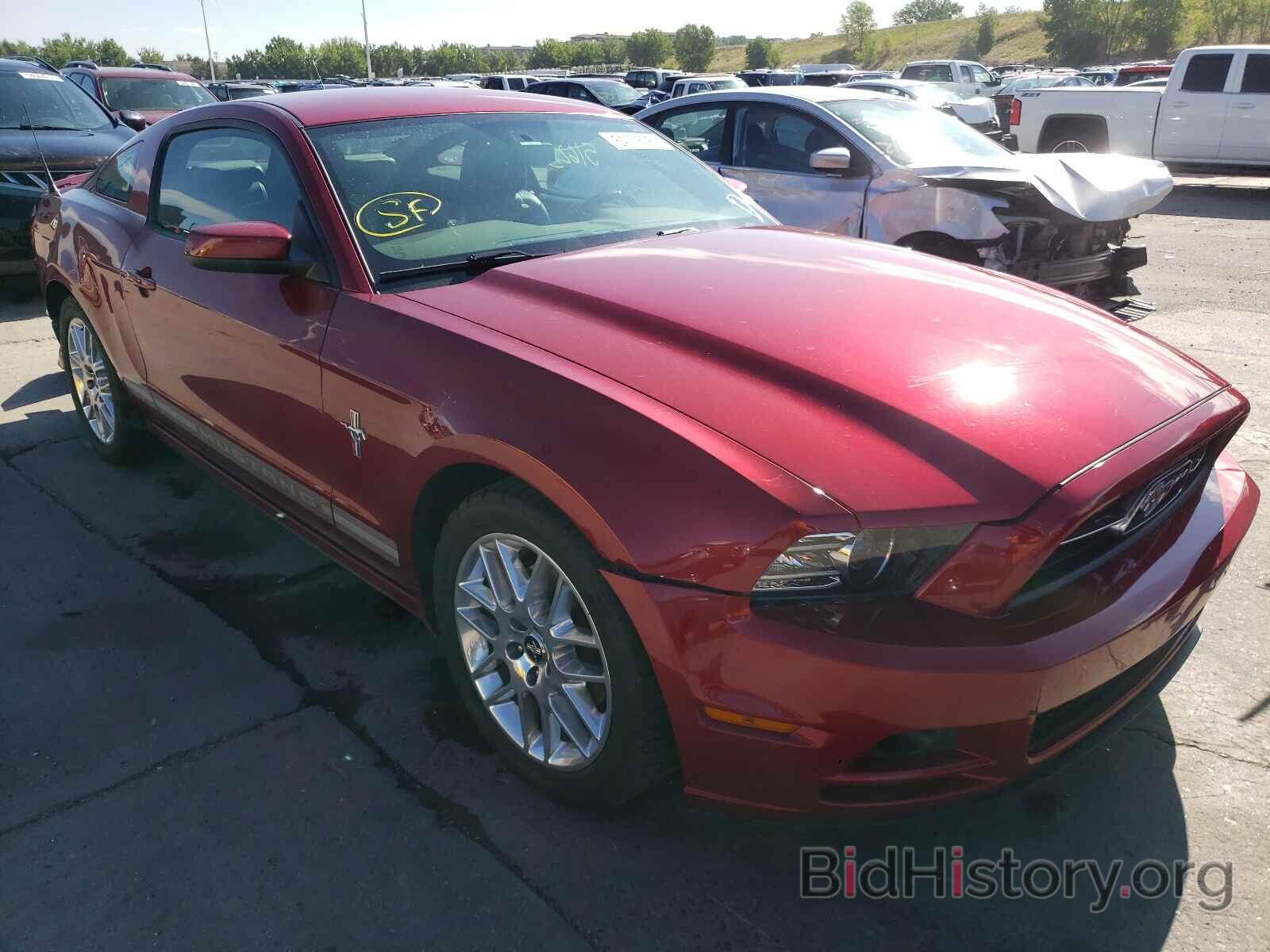 Photo 1ZVBP8AM3E5321350 - FORD MUSTANG 2014