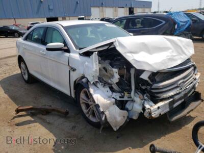 2014 Ford TAURUS Taurus SEL, белый — VIN 1FAHP2E85EG165460, Copart