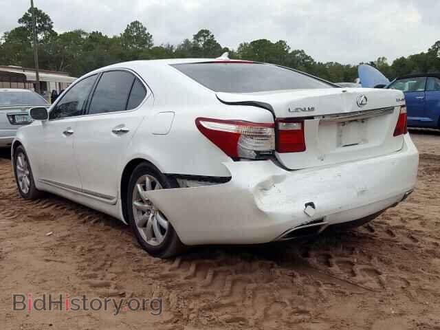 2007 LEXUS LS460 - VIN: JTHBL46F675046172 - Фото 3