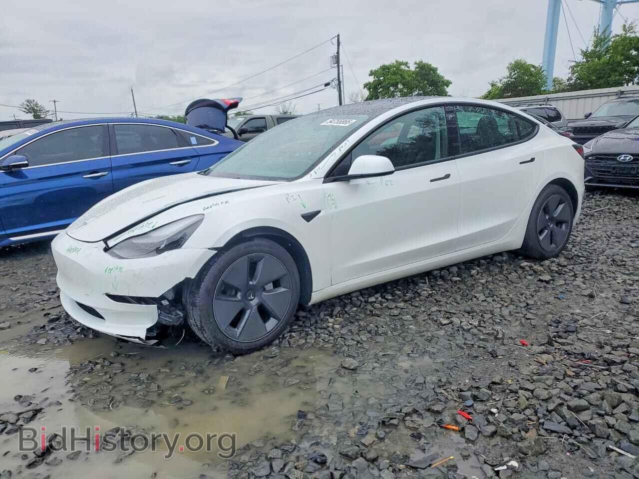 Photo 5YJ3E1EA4PF557611 - TESLA MODEL 3 2023