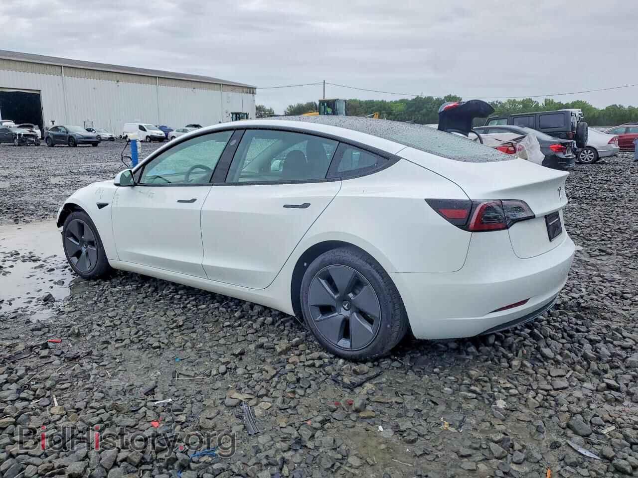 2023 TESLA MODEL 3 - VIN: 5YJ3E1EA4PF557611 - Photo 2
