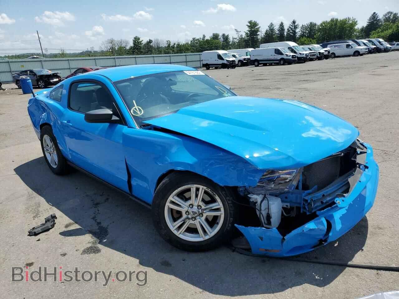 Photo 1ZVBP8AM3B5146190 - FORD MUSTANG 2011