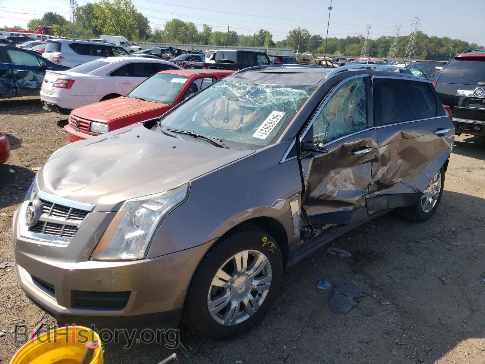 2011 CADILLAC SRX - VIN: 3GYFNAEY5BS630764 - Фото 2