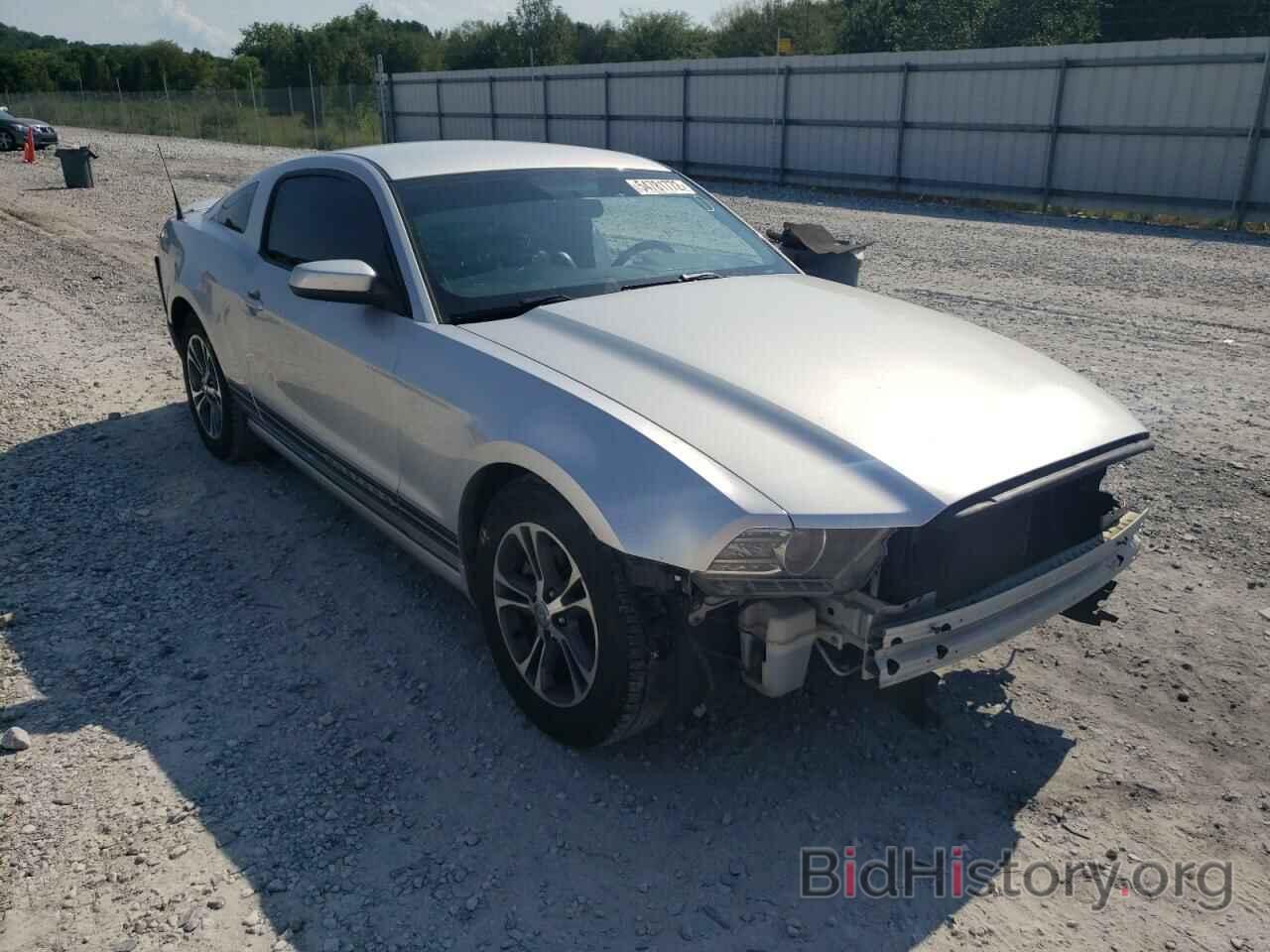 Photo 1ZVBP8AM3E5229512 - FORD MUSTANG 2014