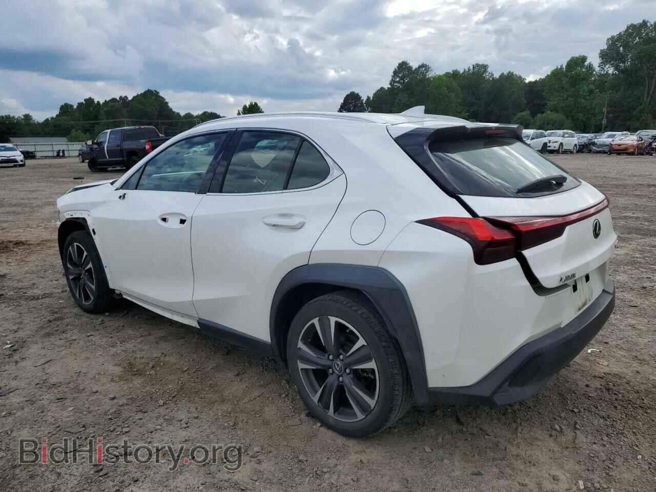 2019 LEXUS UX 200 - VIN: JTHY3JBH3K2013236 - Фото 2