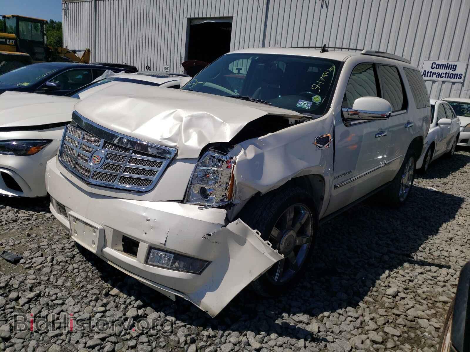 2011 CADILLAC ESCALADE - VIN: 1GYS4CEF2BR137347 - Фото 2
