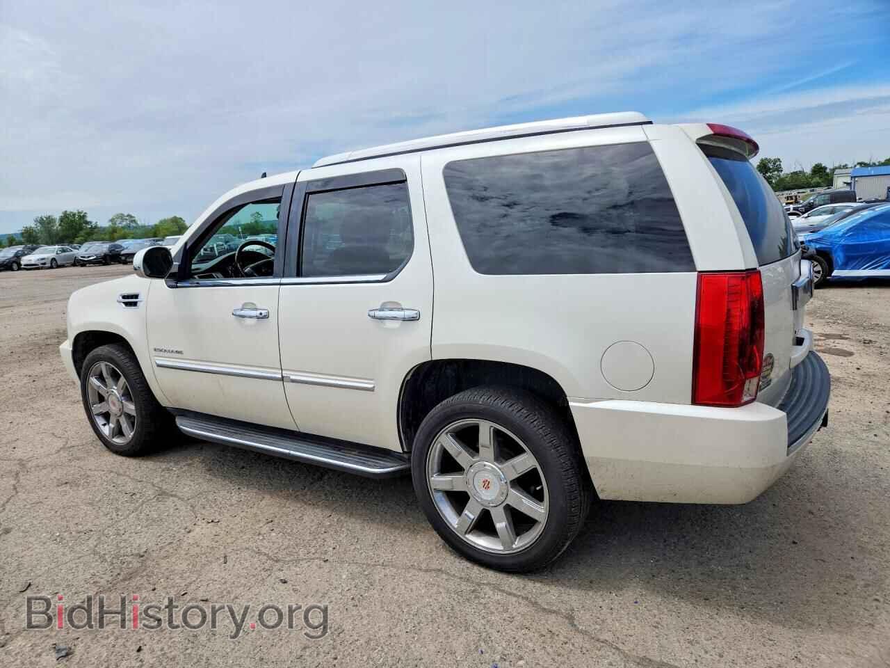 2012 CADILLAC ESCALADE - VIN: 1GYS4BEF1CR283184 - Фото 2