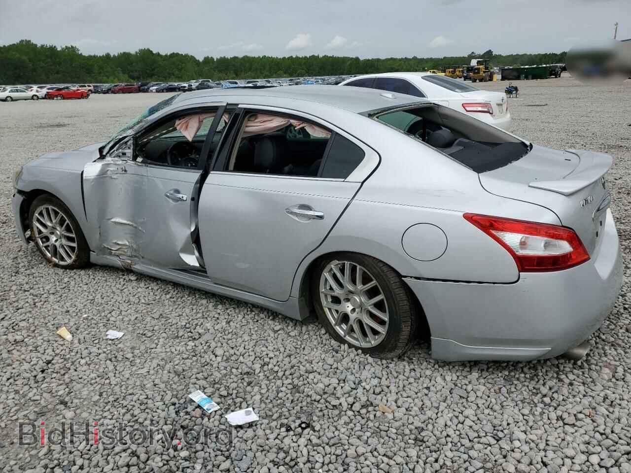 2010 NISSAN MAXIMA - VIN: 1N4AA5AP1AC803173 - Фото 2