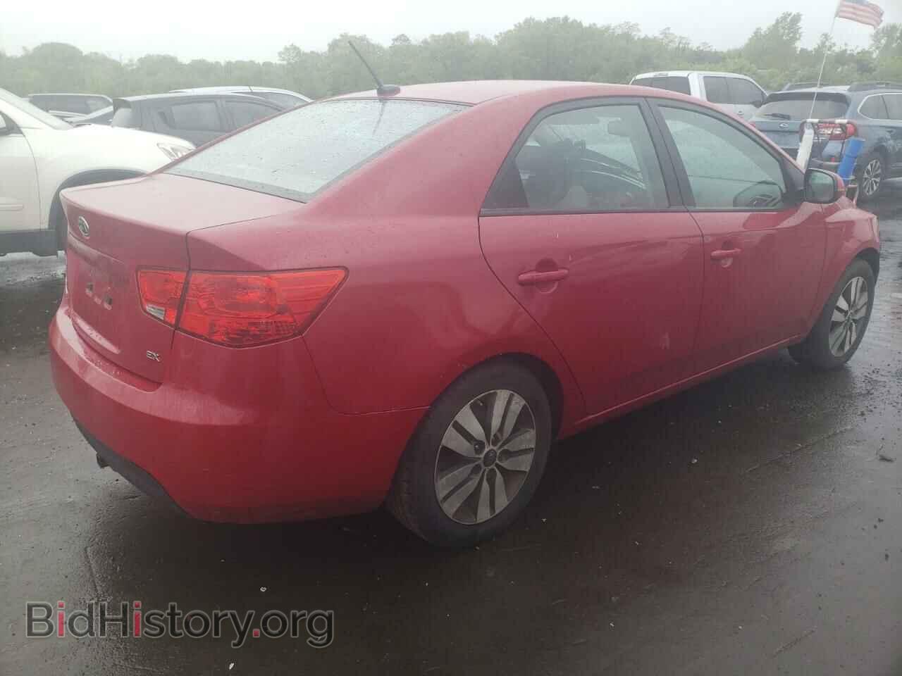 2013 KIA FORTE - VIN: KNAFU4A23D5719027 - Фото 3