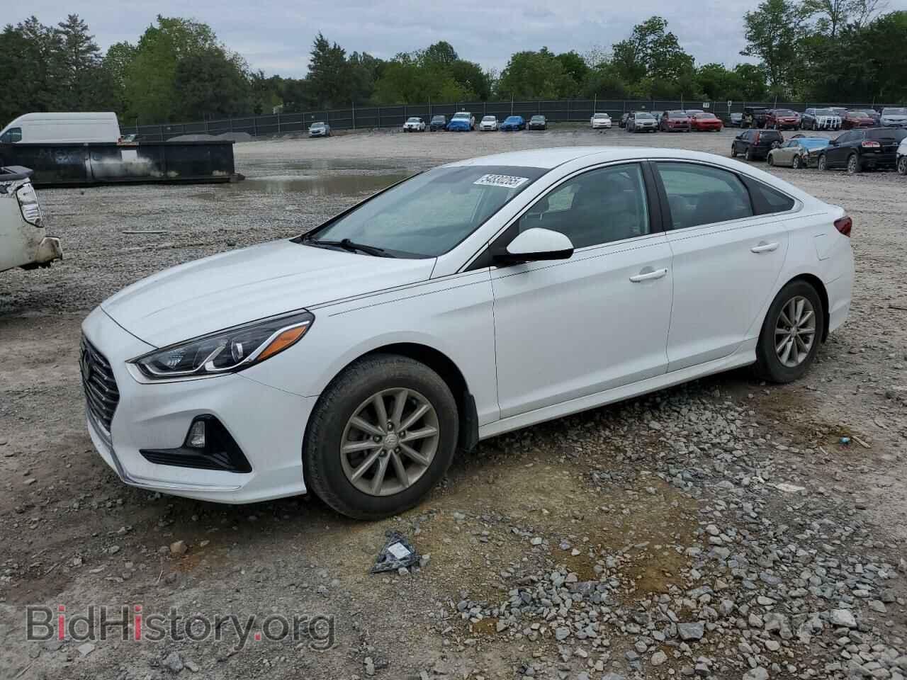 Photo 5NPE24AF3KH812487 - HYUNDAI SONATA 2019