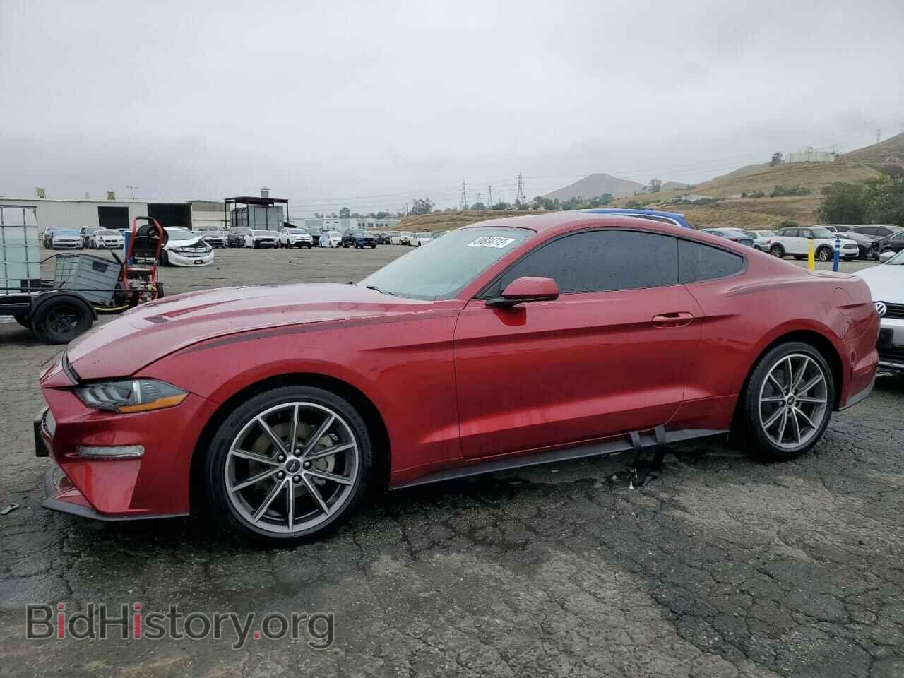 Фотография 1FA6P8TH8K5163643 - FORD ALL Models 2019