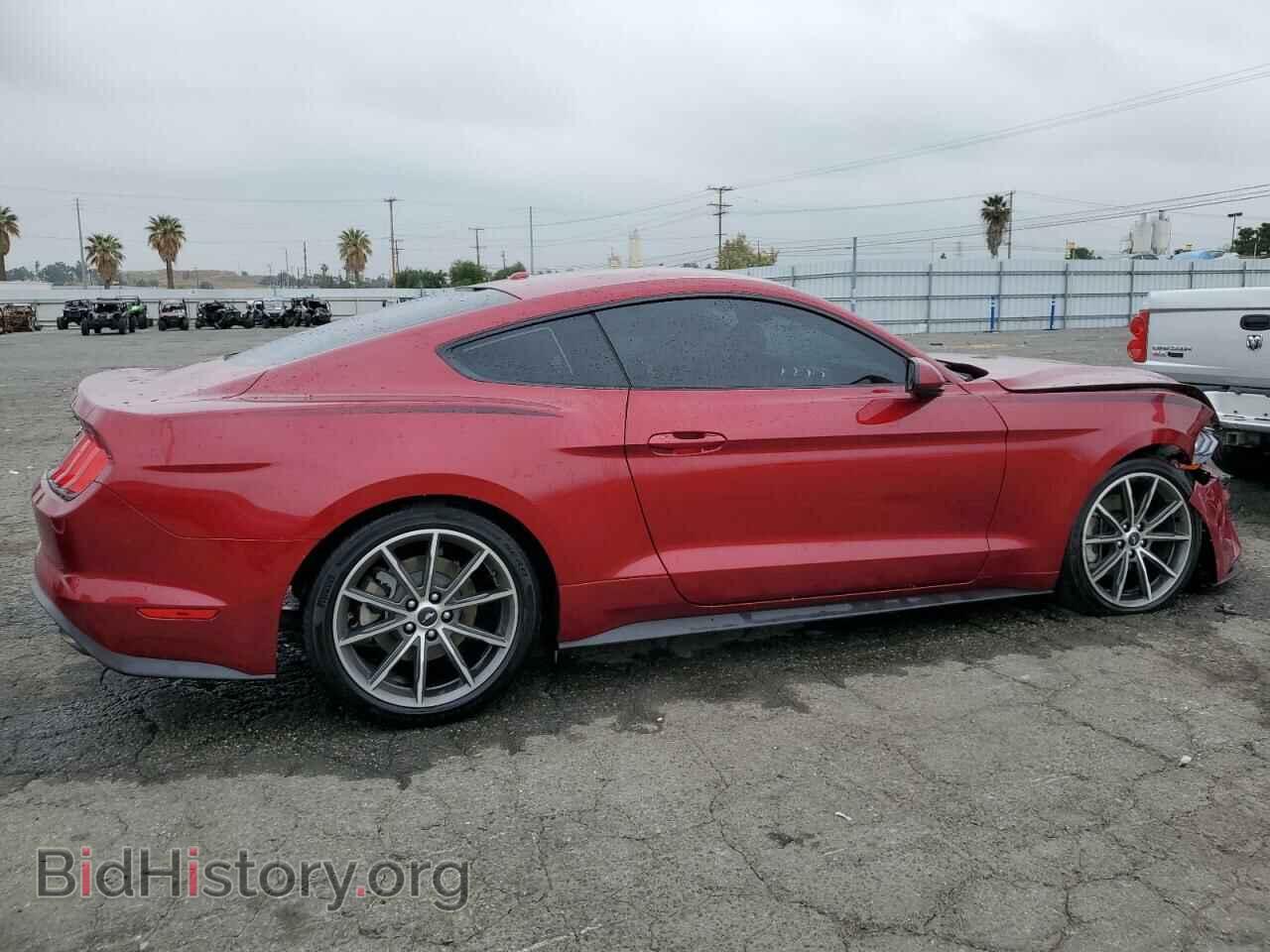 2019 FORD ALL Models - VIN: 1FA6P8TH8K5163643 - Фото 3