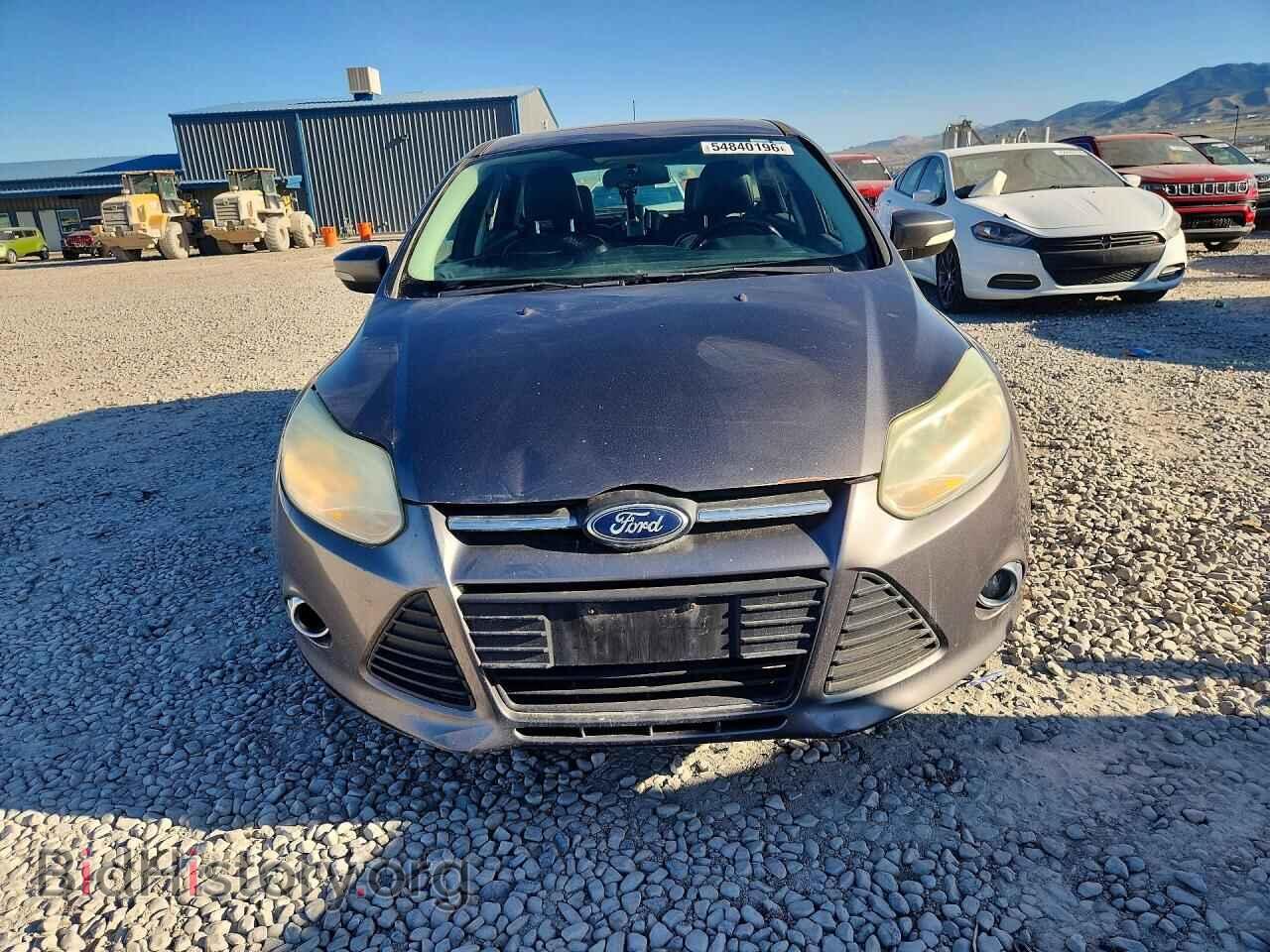 2013 FORD FOCUS - VIN: 1FADP3K29DL214394 - Фото 5