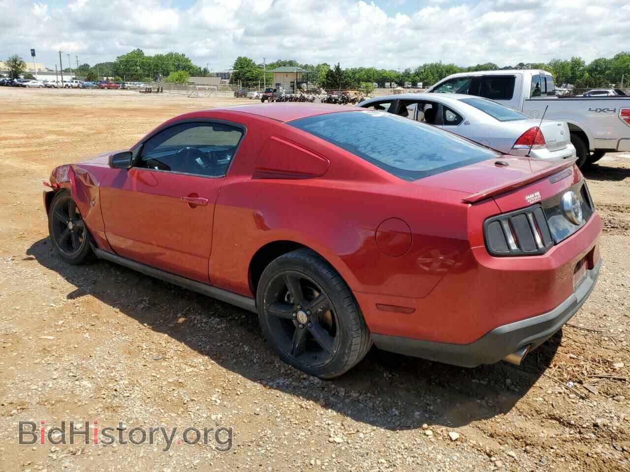 2010 FORD MUSTANG - VIN: 1ZVBP8CH3A5155504 - Фото 2