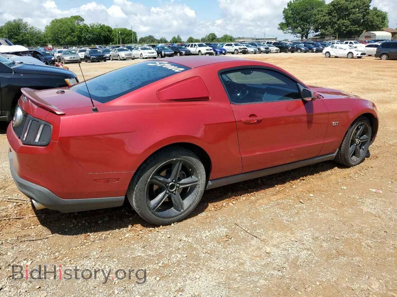 2010 FORD MUSTANG - VIN: 1ZVBP8CH3A5155504 - Фото 3