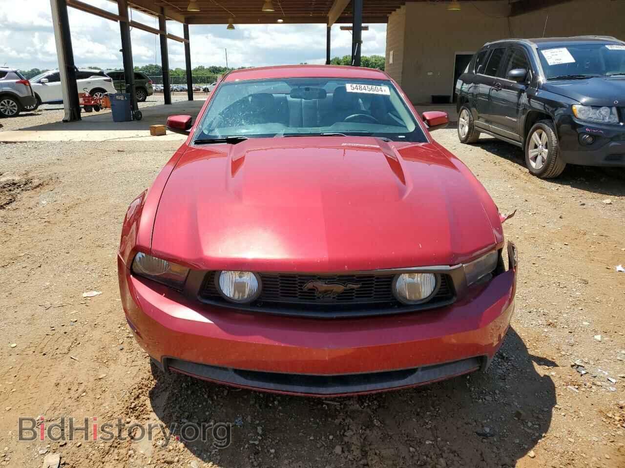 2010 FORD MUSTANG - VIN: 1ZVBP8CH3A5155504 - Фото 5