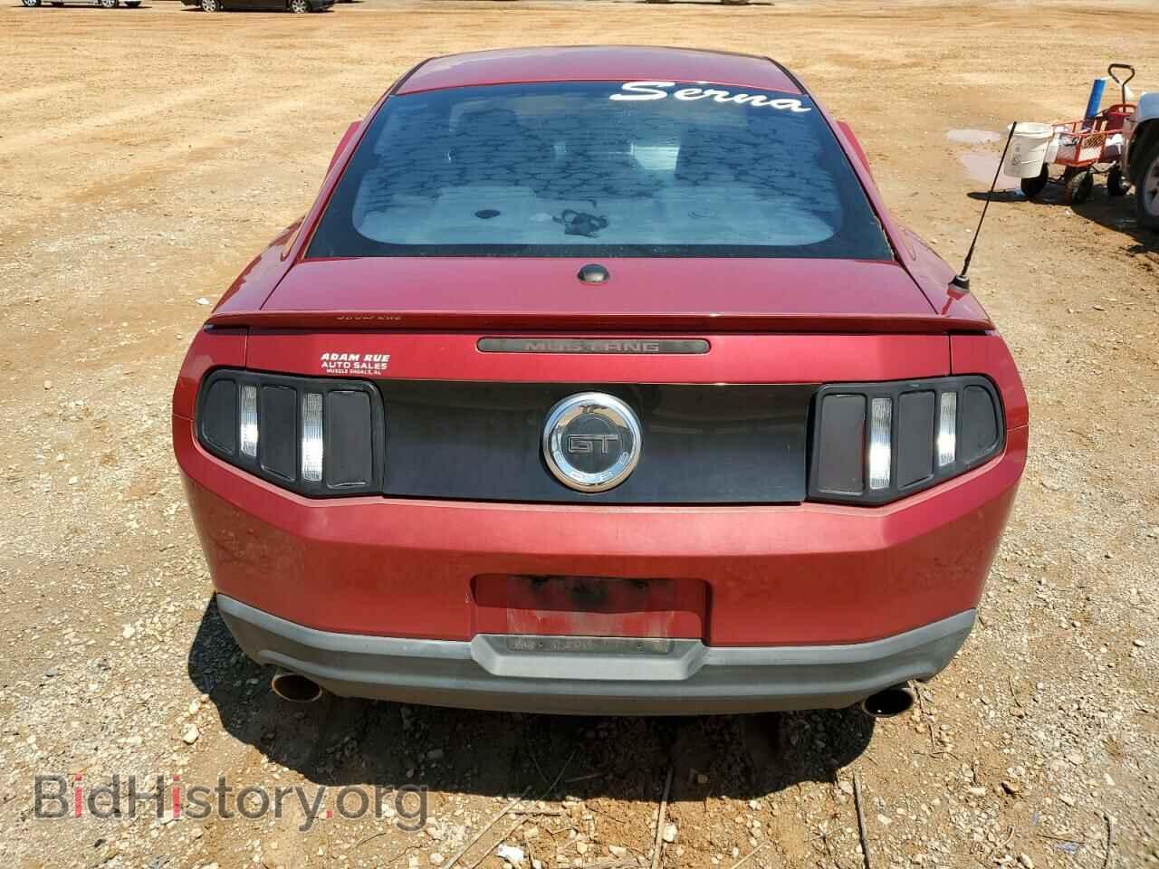 2010 FORD MUSTANG - VIN: 1ZVBP8CH3A5155504 - Фото 6