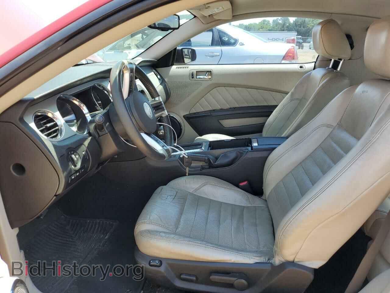 2010 FORD MUSTANG - VIN: 1ZVBP8CH3A5155504 - Фото 7