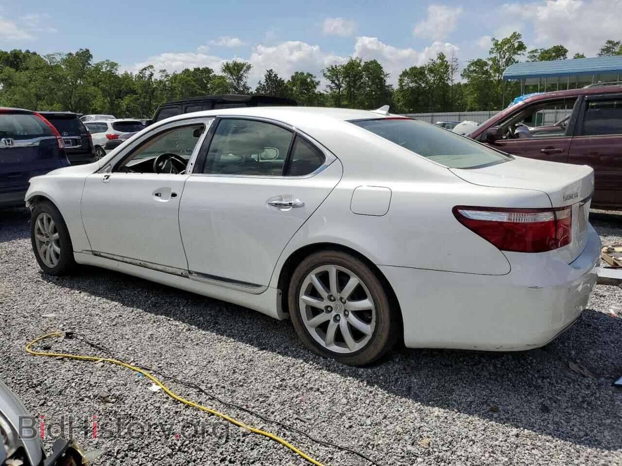 2007 LEXUS LS460 - VIN: JTHBL46F875046500 - Photo 2