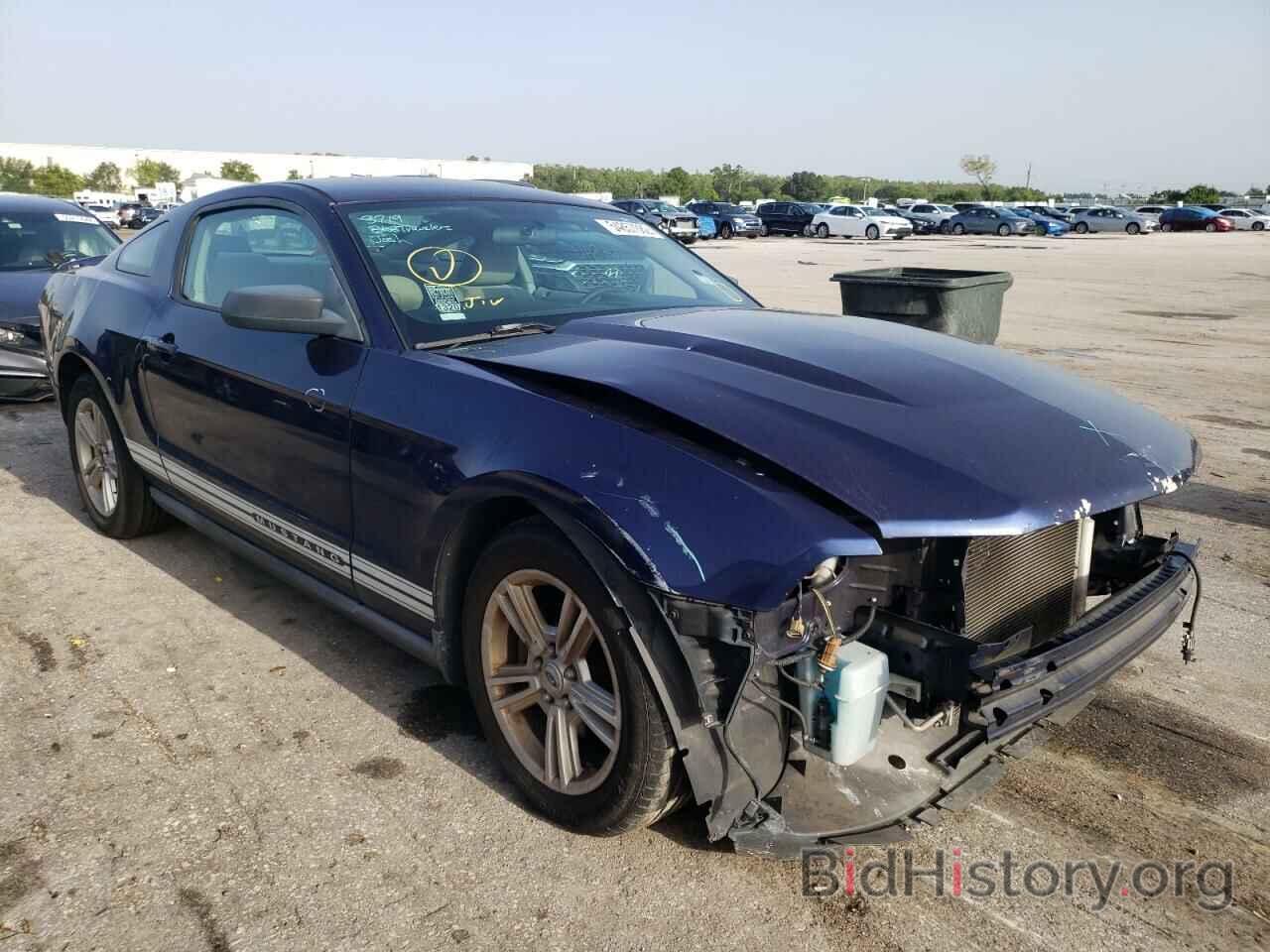 Photo 1ZVBP8AN1A5158510 - FORD MUSTANG 2010