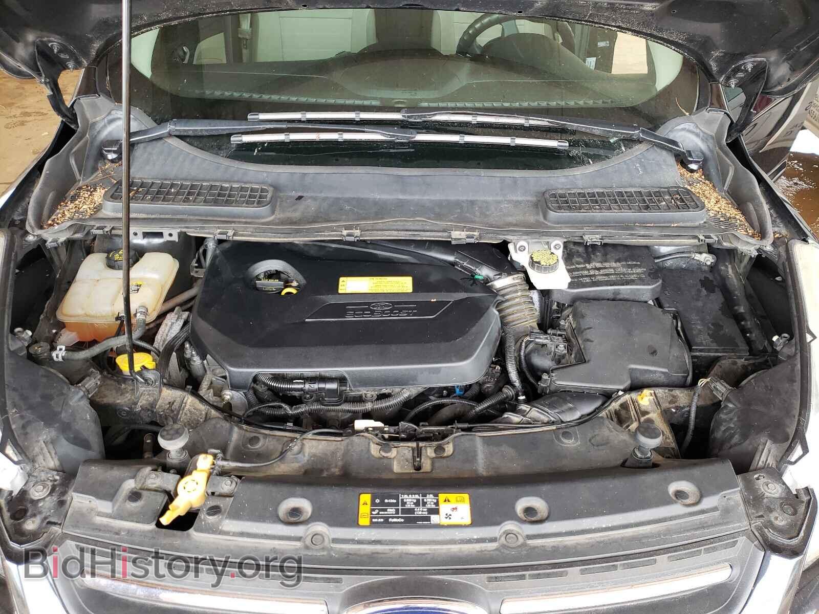 2013 FORD ESCAPE - VIN: 1FMCU0GX1DUD93537 - Фото 7