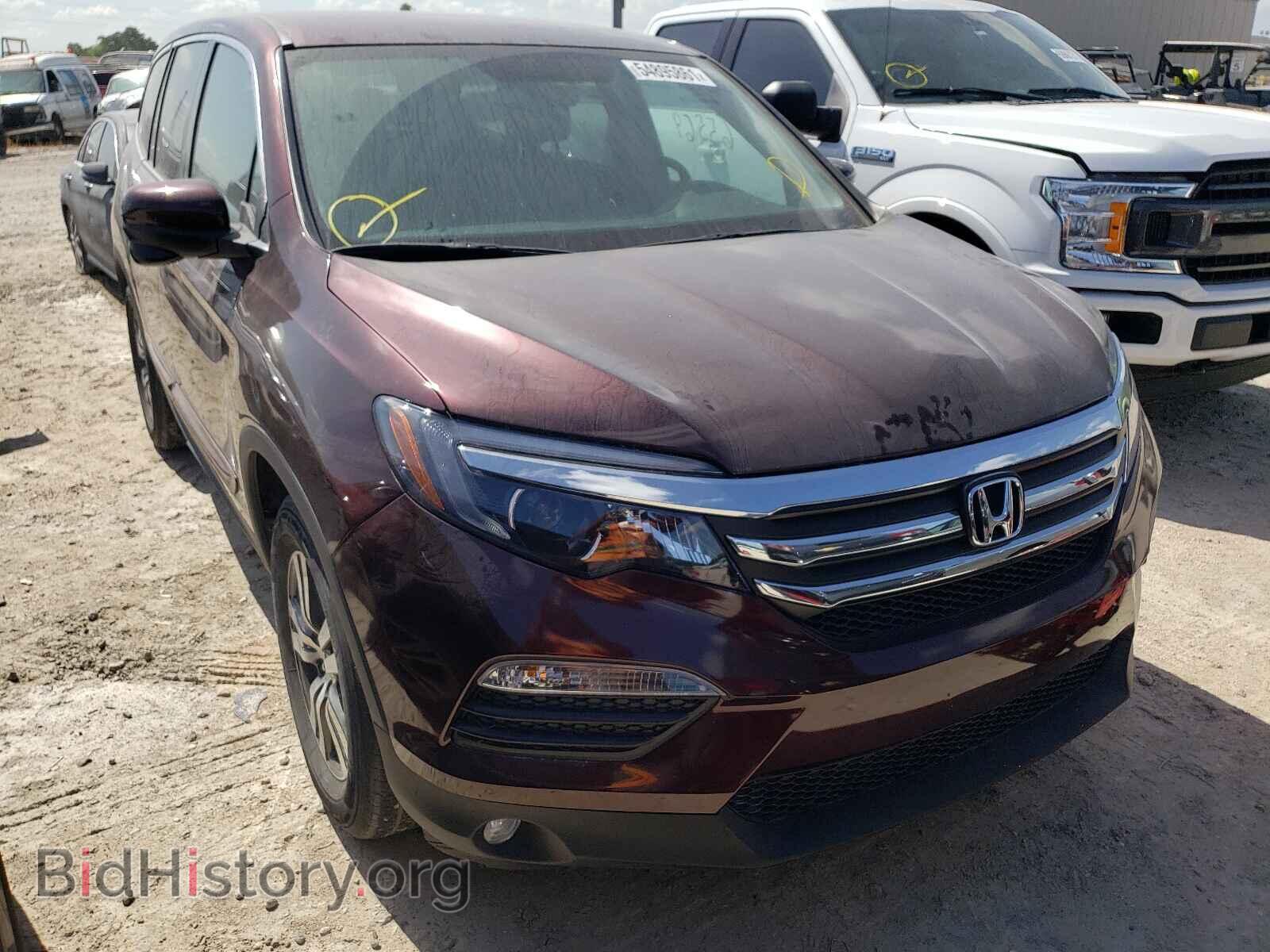 Photo 5FNYF5H3XGB010205 - HONDA PILOT 2016