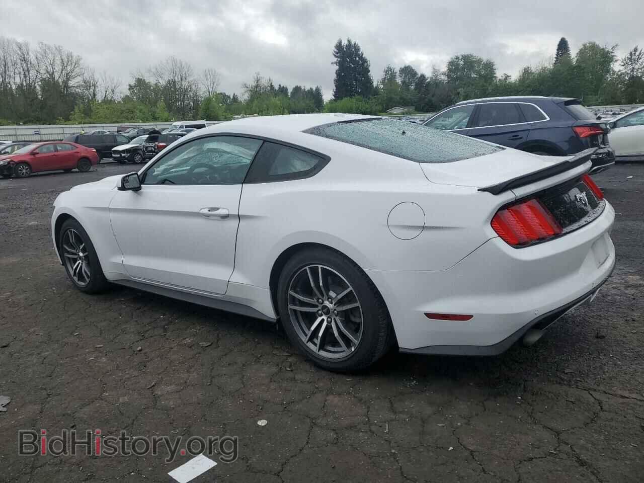 2017 FORD ALL Models - VIN: 1FA6P8TH3H5229444 - Фото 2
