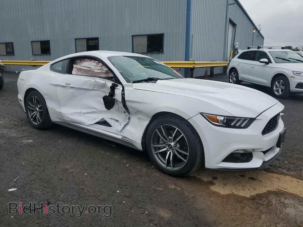 2017 FORD ALL Models - VIN: 1FA6P8TH3H5229444 - Фото 4