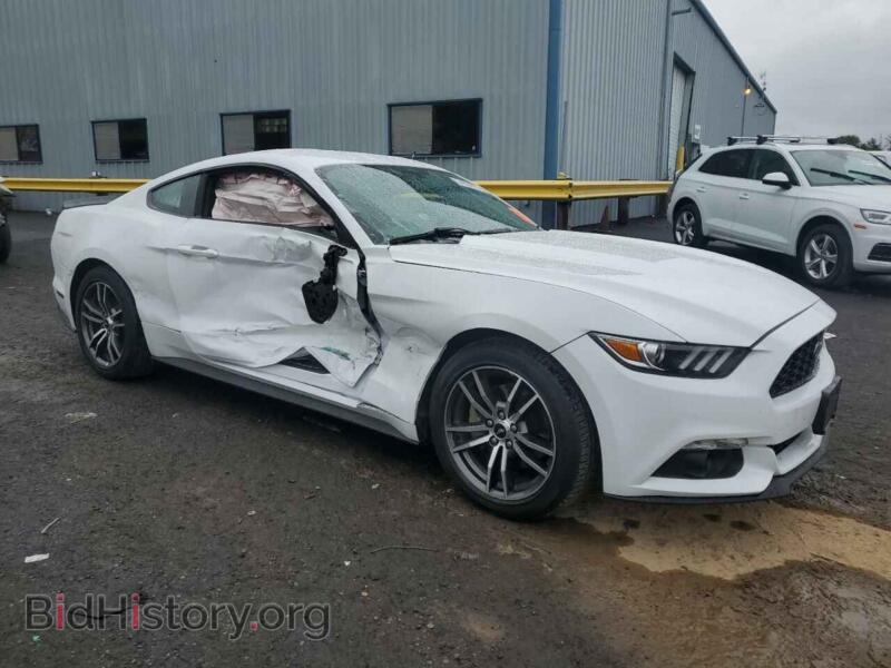 2017 Ford ALL MODELS (VIN 1FA6P8TH3H5229444) — photo 4 of 14