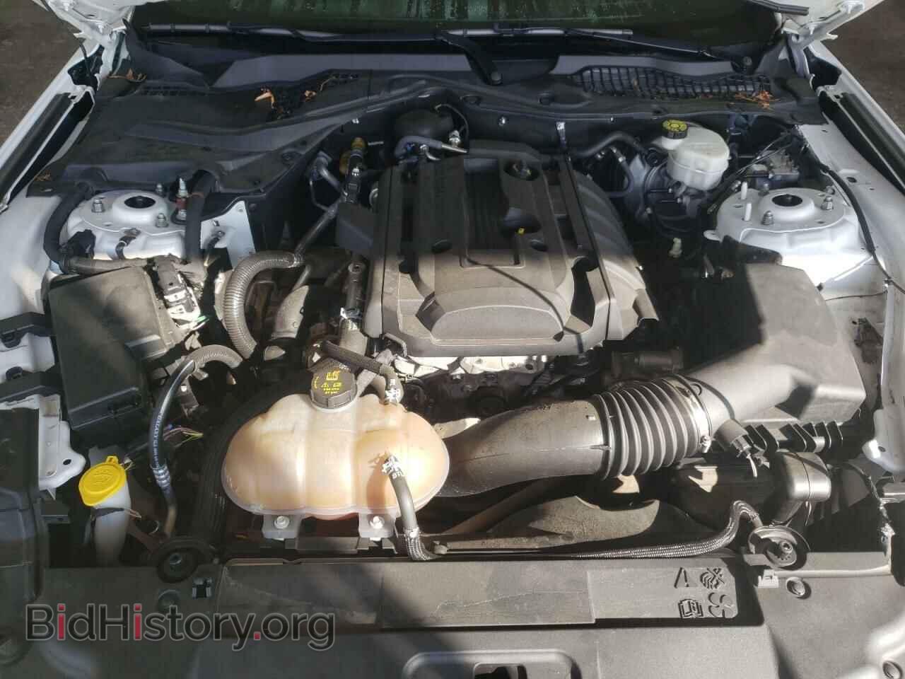 2019 FORD MUSTANG - VIN: 1FA6P8TH8K5159799 - Фото 7
