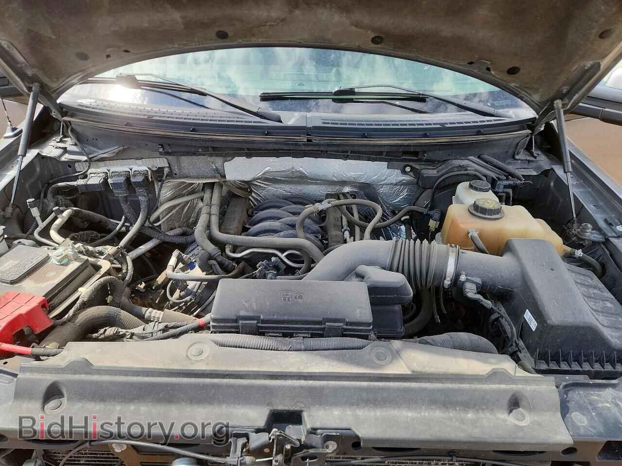 2013 FORD F150 - VIN: 1FTFX1EF4DKD97862 - Фото 12