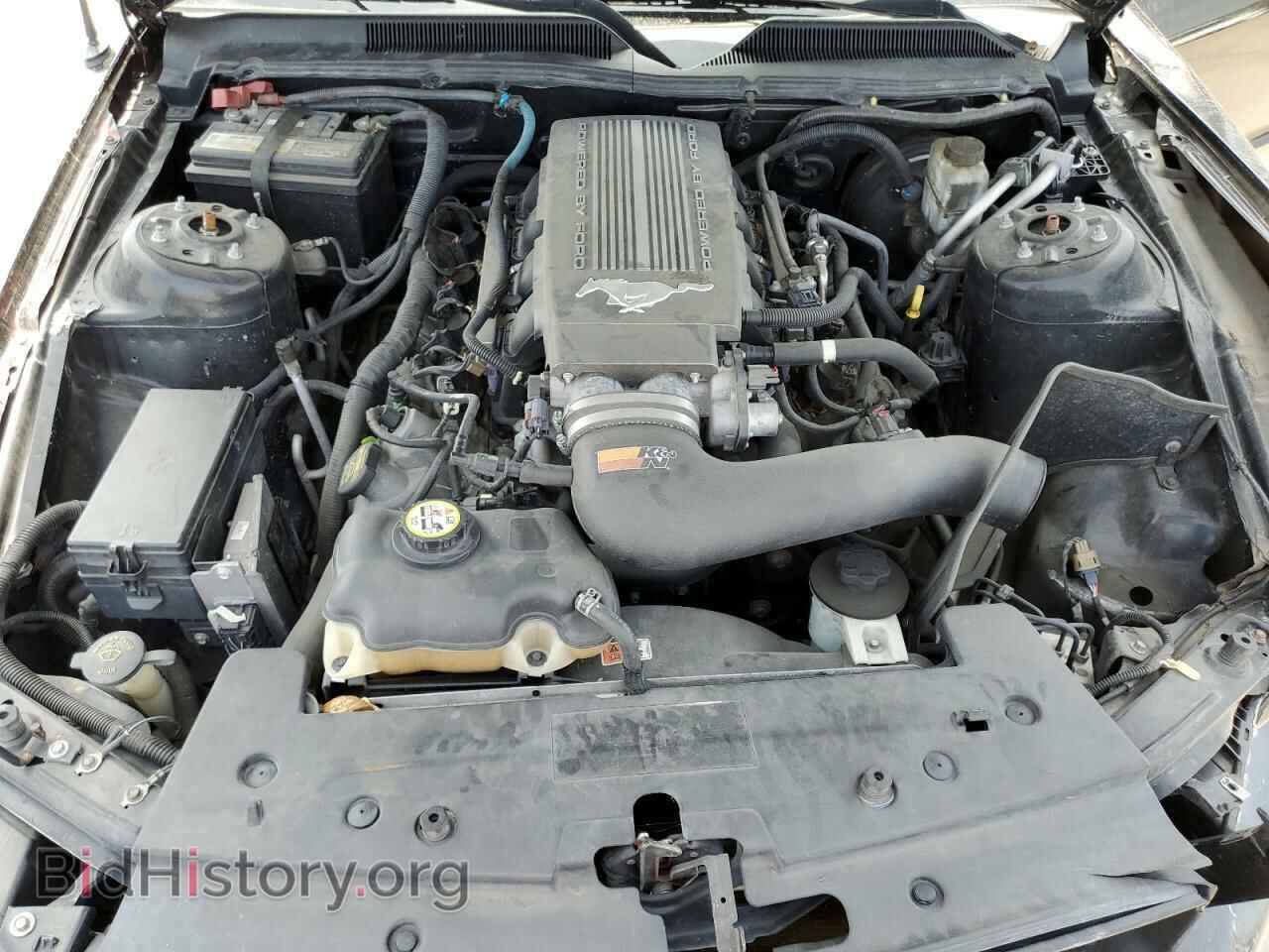 2009 FORD MUSTANG - VIN: 1ZVHT82H695111449 - Фото 7