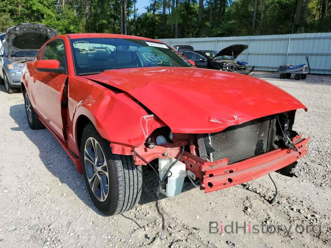 Photo 1ZVBP8AM1E5300061 - FORD MUSTANG 2014