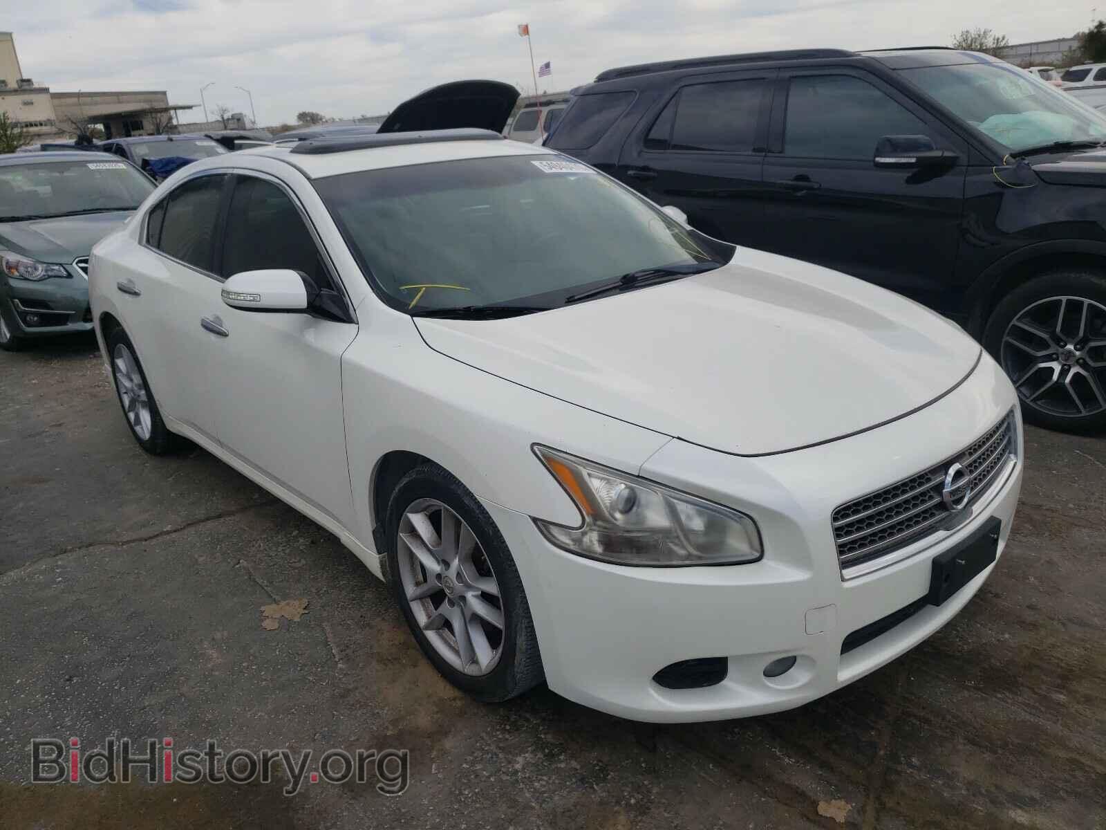 Фотография 1N4AA5AP4BC816632 - NISSAN MAXIMA 2011