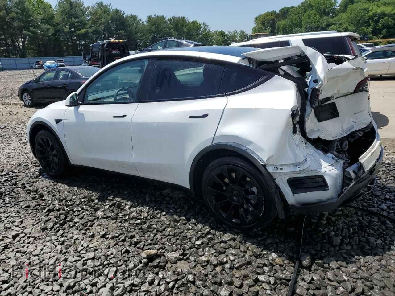 2023 TESLA MODEL Y - VIN: 7SAYGDEE8PA071940 - Фото 2
