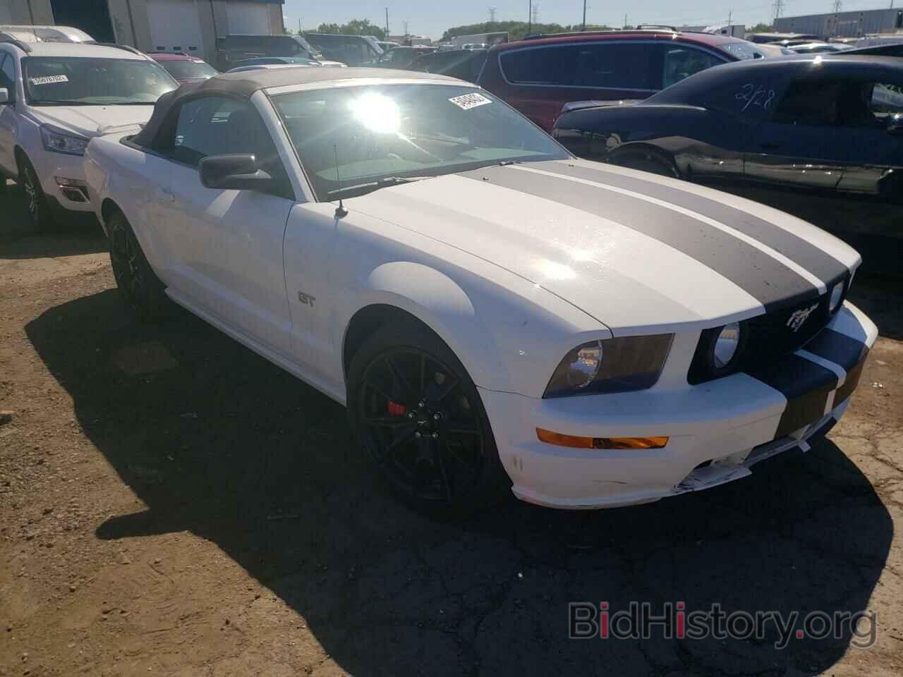 Photo 1ZVFT85HX65209124 - FORD MUSTANG 2006
