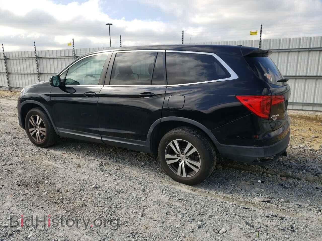 2017 HONDA PILOT - VIN: 5FNYF5H47HB007059 - Фото 2