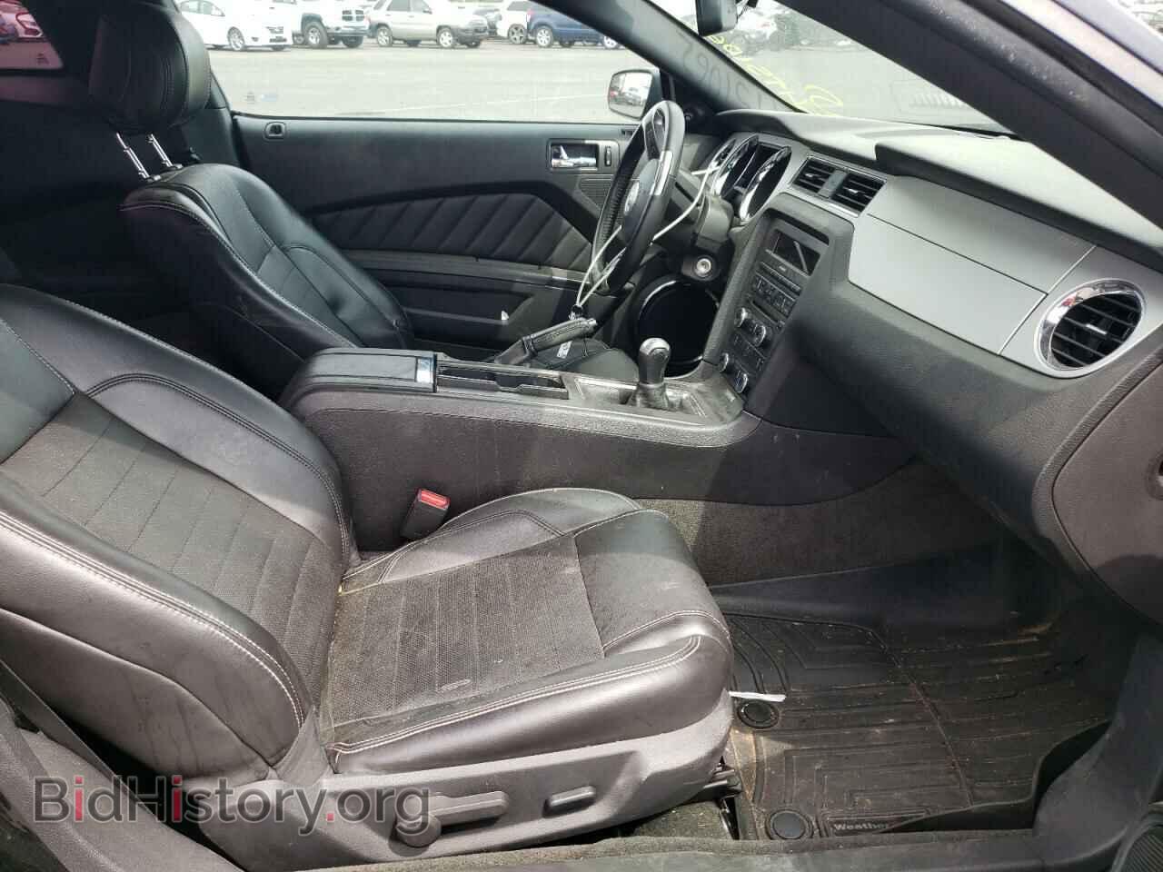 2014 FORD MUSTANG - VIN: 1ZVBP8CF8E5245493 - Фото 5