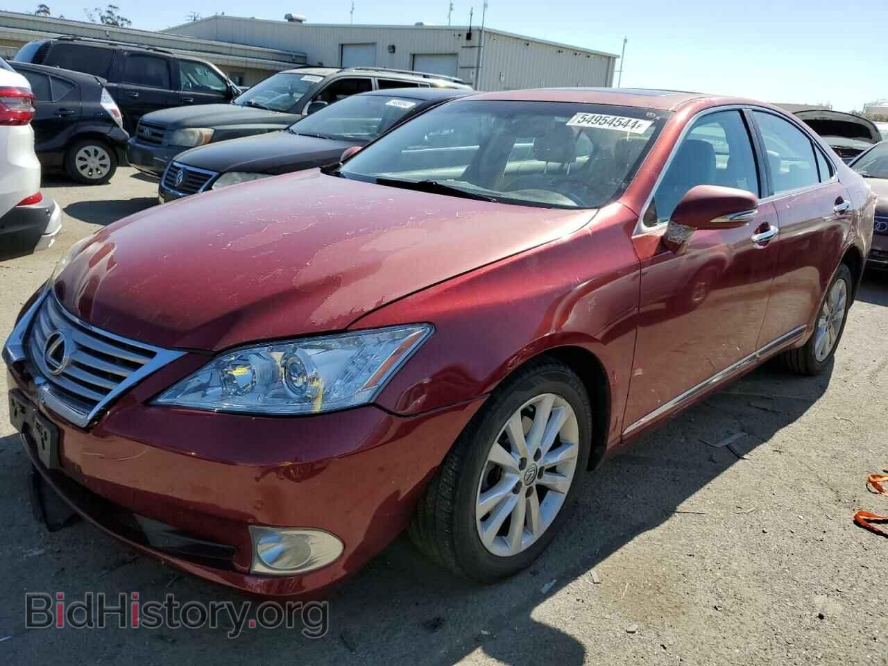 Photo JTHBK1EG2A2371616 - LEXUS ES350 2010