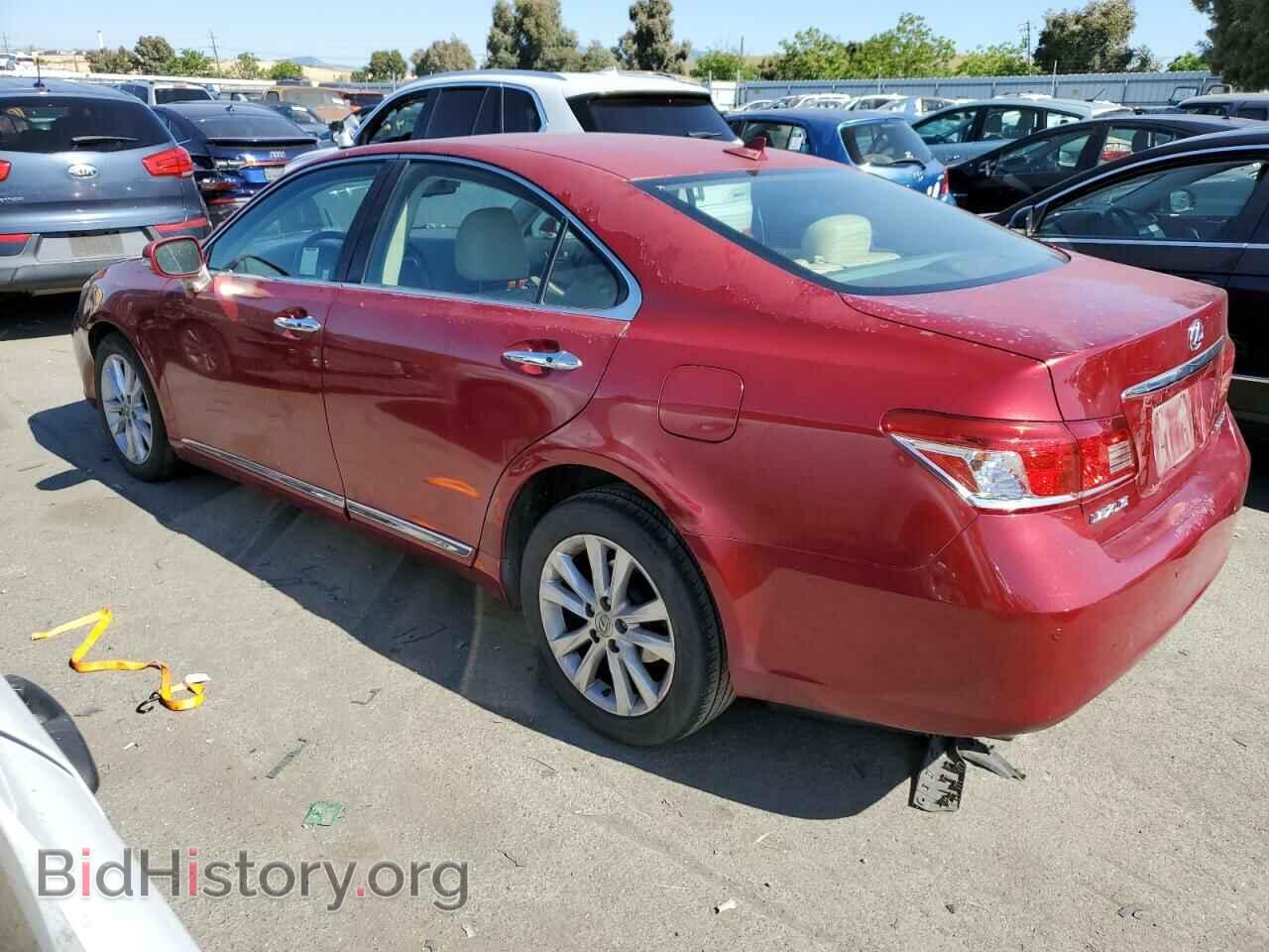 2010 LEXUS ES350 - VIN: JTHBK1EG2A2371616 - Фото 2