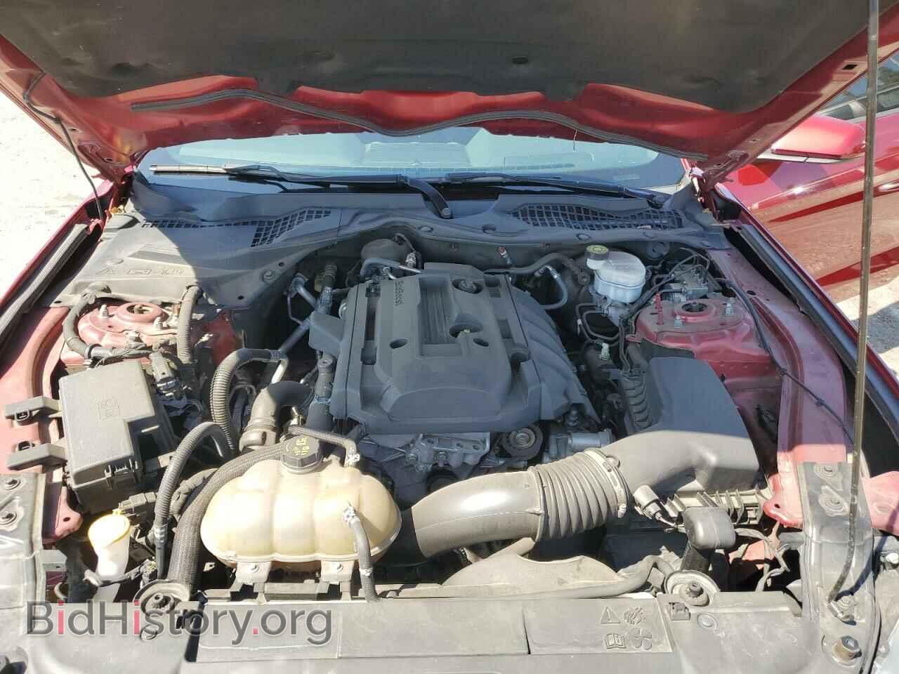 2019 FORD ALL Models - VIN: 1FA6P8TH9K5202496 - Photo 11