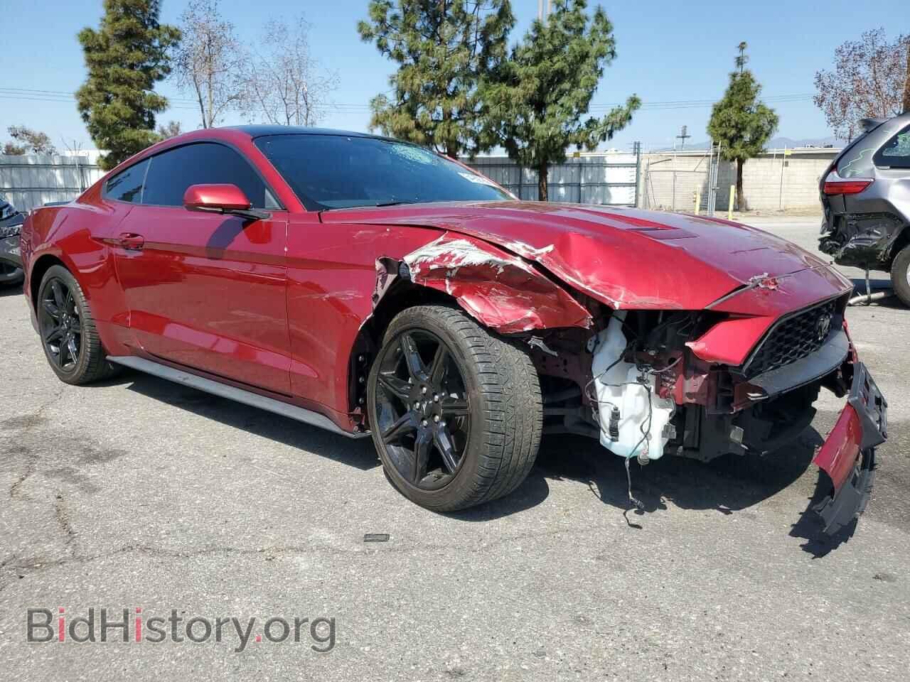 2019 FORD ALL Models - VIN: 1FA6P8TH9K5202496 - Photo 4