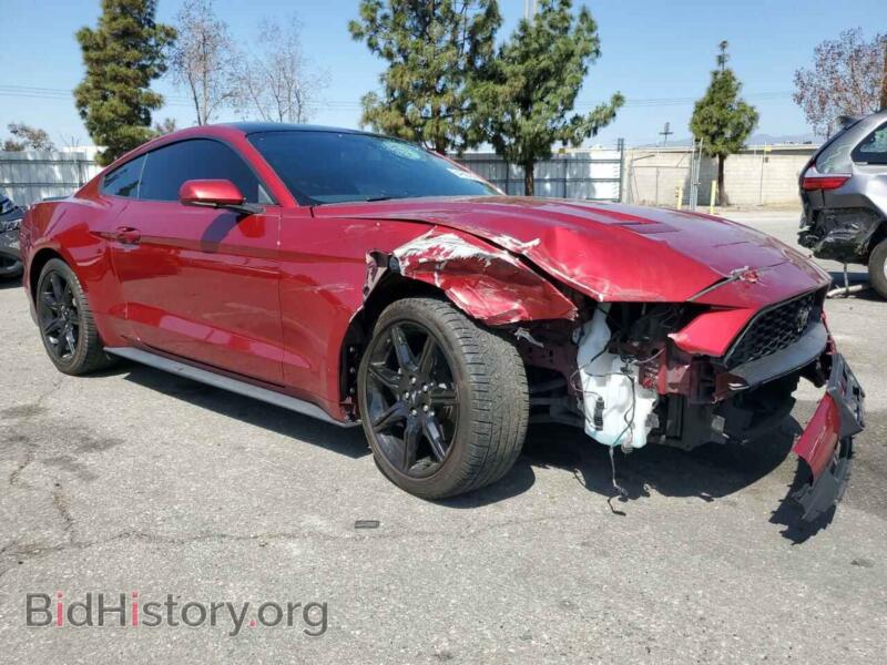 2019 Ford ALL MODELS (VIN 1FA6P8TH9K5202496) — photo 4 of 15