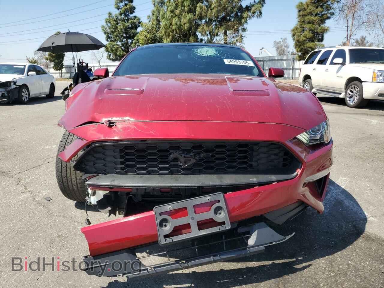 2019 FORD ALL Models - VIN: 1FA6P8TH9K5202496 - Photo 5