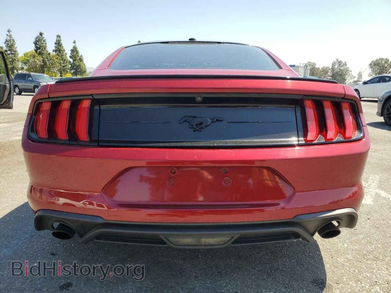 2019 FORD ALL Models - VIN: 1FA6P8TH9K5202496 - Photo 6